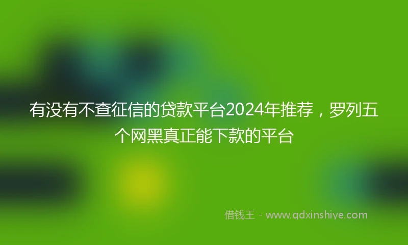 有没有不查征信的贷款平台2024年推荐，罗列五个网黑真正能下款的平台