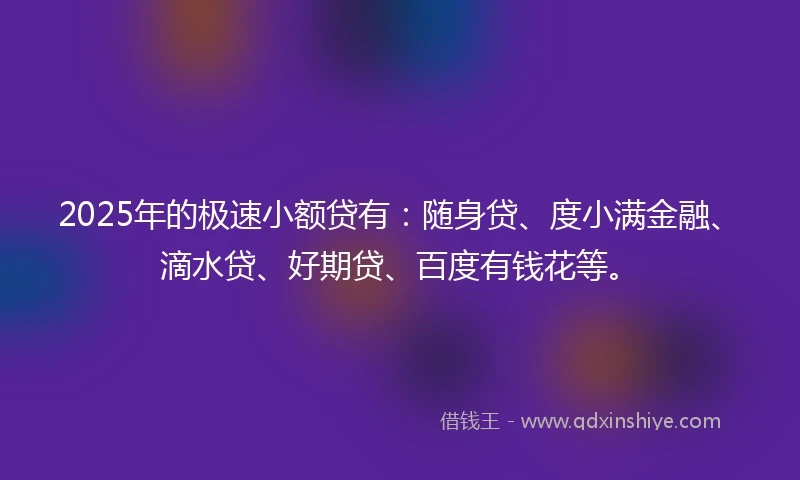 2025年的极速小额贷有：随身贷、度小满金融、滴水贷、好期贷、百度有钱花等。