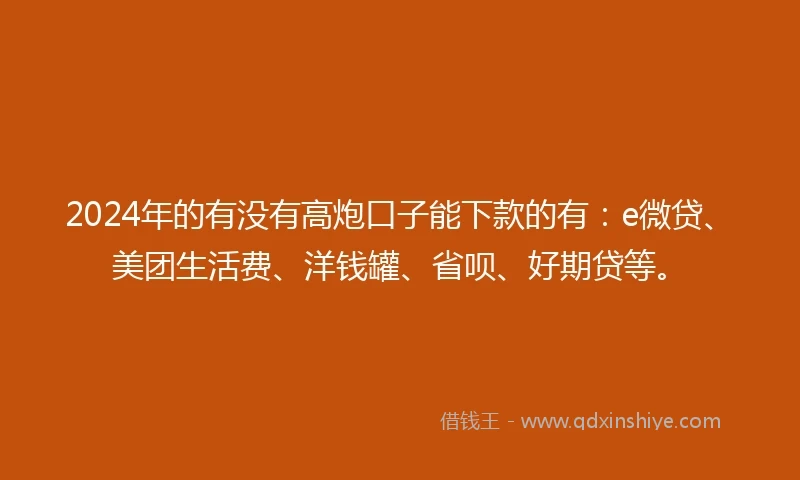 2024年的有没有高炮口子能下款的有：e微贷、美团生活费、洋钱罐、省呗、好期贷等。