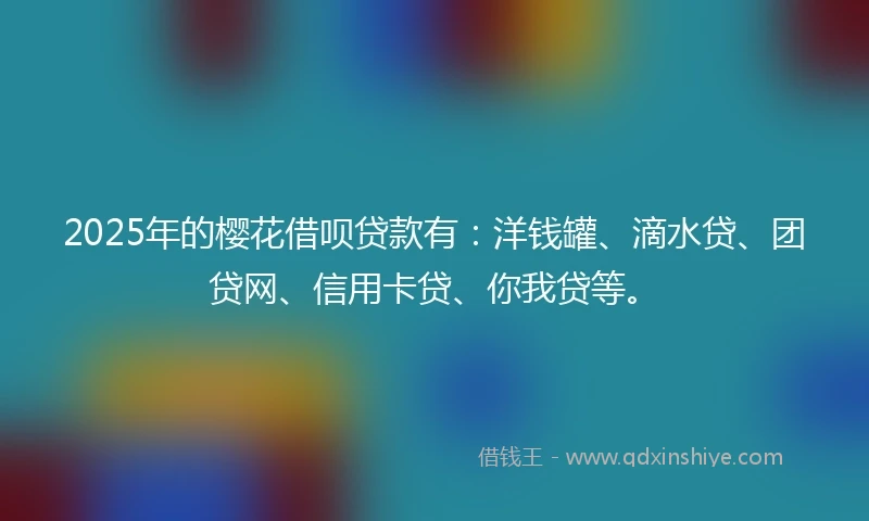 2025年的樱花借呗贷款有：洋钱罐、滴水贷、团贷网、信用卡贷、你我贷等。