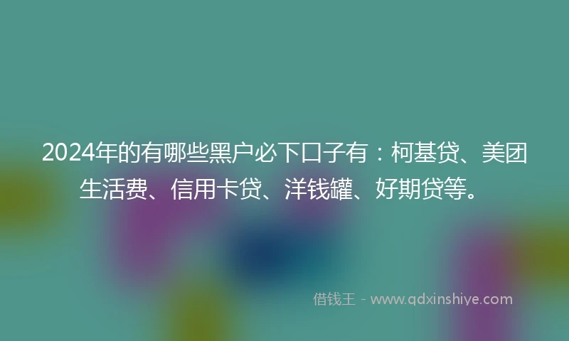 2024年的有哪些黑户必下口子有：柯基贷、美团生活费、信用卡贷、洋钱罐、好期贷等。