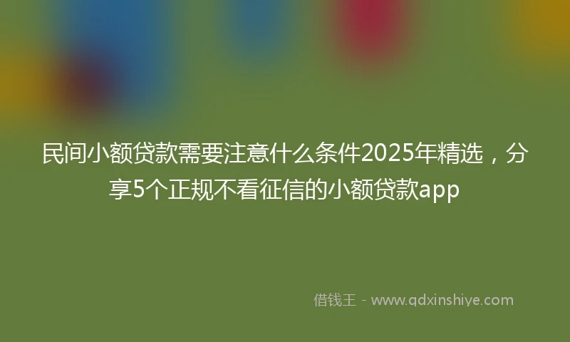 民间小额贷款需要注意什么条件2025年精选，分享5个正规不看征信的小额贷款app