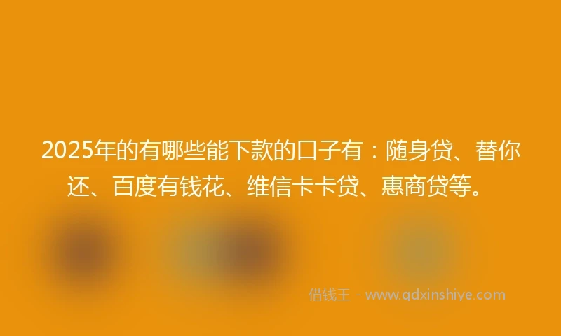 2025年的有哪些能下款的口子有：随身贷、替你还、百度有钱花、维信卡卡贷、惠商贷等。