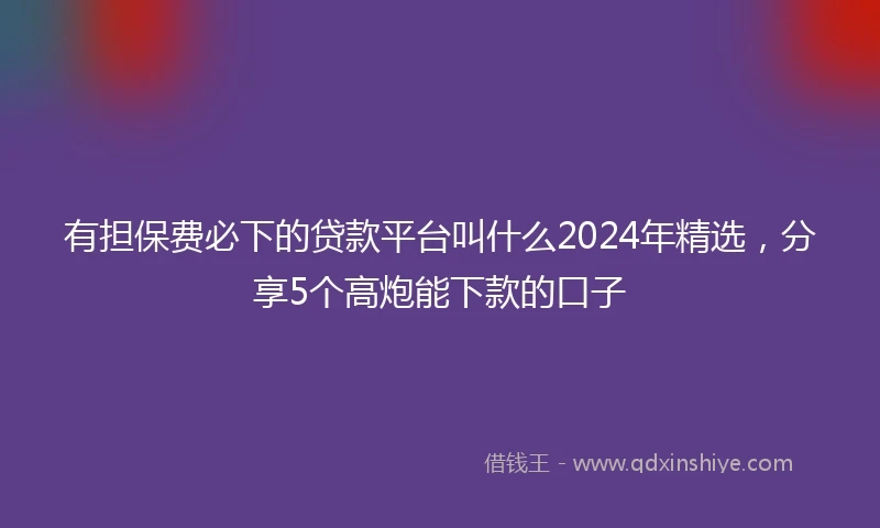有担保费必下的贷款平台叫什么2024年精选，分享5个高炮能下款的口子