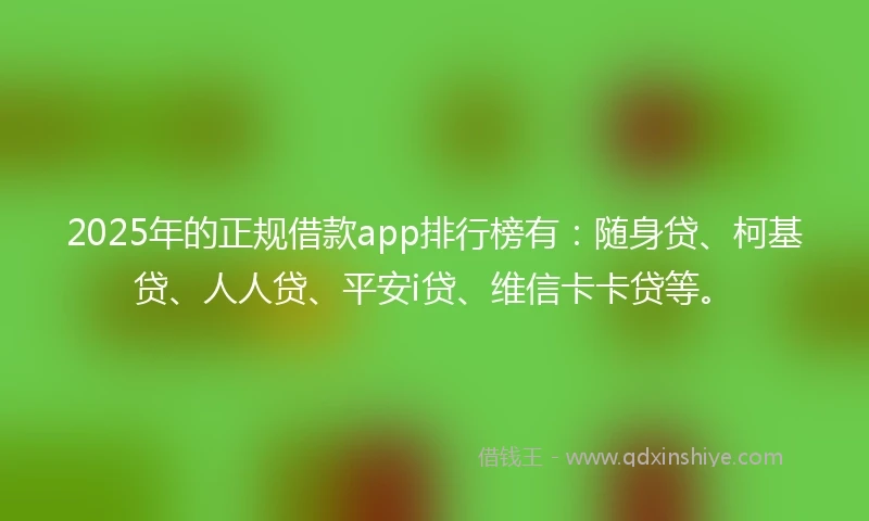 2025年的正规借款app排行榜有：随身贷、柯基贷、人人贷、平安i贷、维信卡卡贷等。