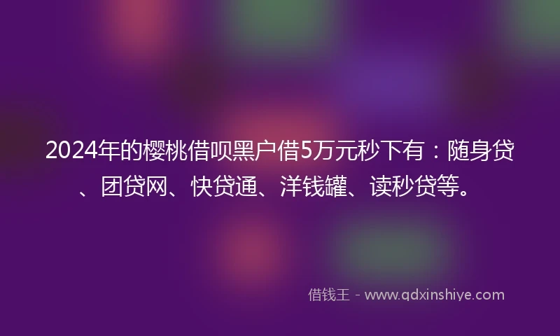 2024年的樱桃借呗黑户借5万元秒下有：随身贷、团贷网、快贷通、洋钱罐、读秒贷等。