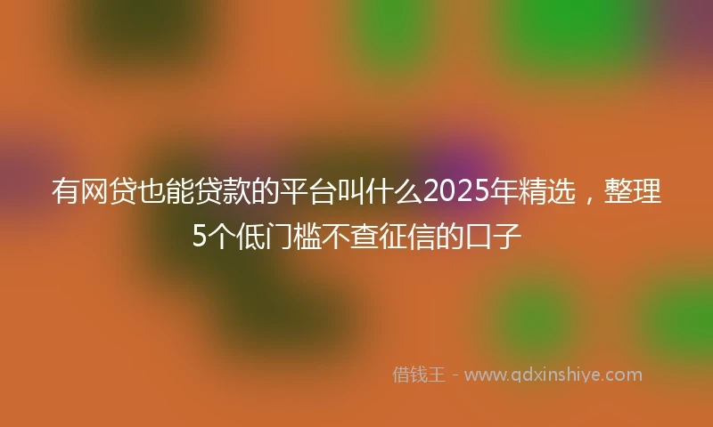 有网贷也能贷款的平台叫什么2025年精选，整理5个低门槛不查征信的口子