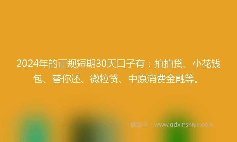 2024年的正规短期30天口子有：拍拍贷、小花钱包、替你还、微粒贷、中原消费金融等。