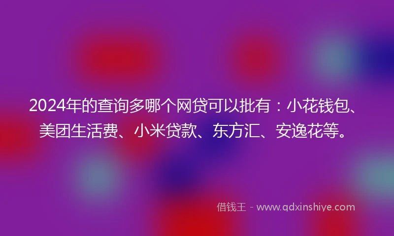 2024年的查询多哪个网贷可以批有：小花钱包、美团生活费、小米贷款、东方汇、安逸花等。