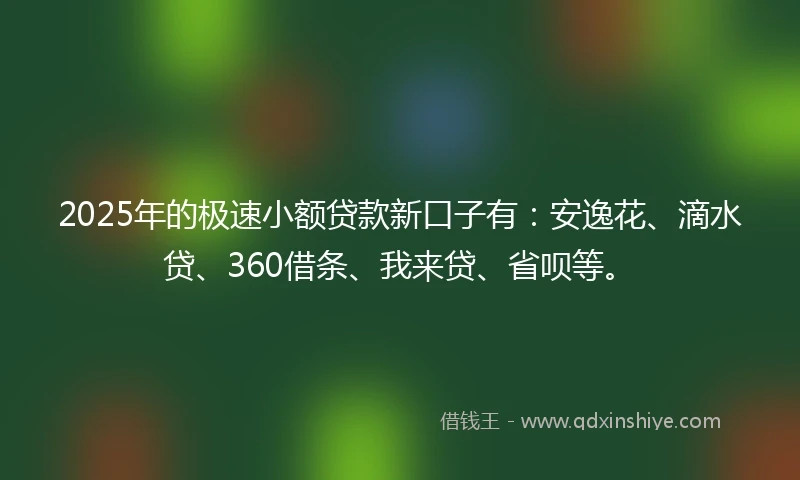 2025年的极速小额贷款新口子有：安逸花、滴水贷、360借条、我来贷、省呗等。