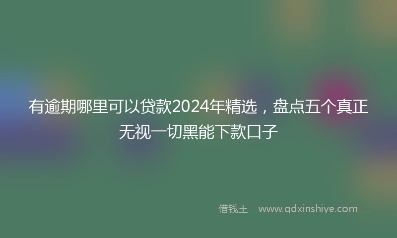有逾期哪里可以贷款2024年精选，盘点五个真正无视一切黑能下款口子