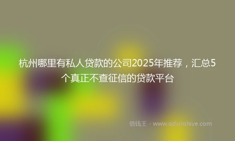 杭州哪里有私人贷款的公司2025年推荐，汇总5个真正不查征信的贷款平台
