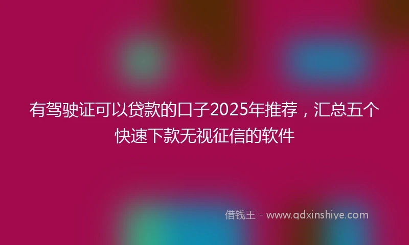 有驾驶证可以贷款的口子2025年推荐，汇总五个快速下款无视征信的软件