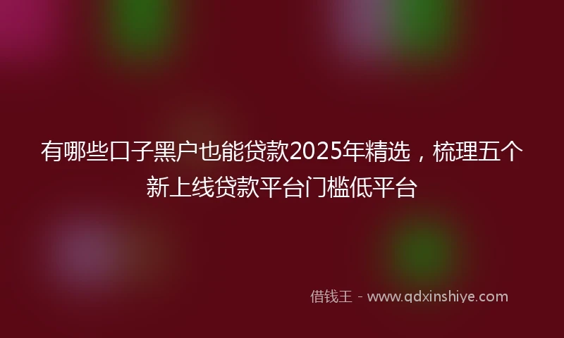 有哪些口子黑户也能贷款2025年精选，梳理五个新上线贷款平台门槛低平台