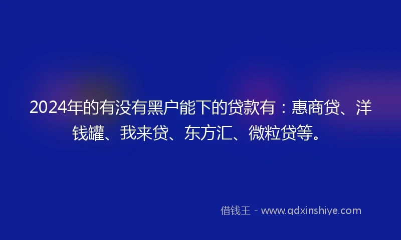 2024年的有没有黑户能下的贷款有：惠商贷、洋钱罐、我来贷、东方汇、微粒贷等。