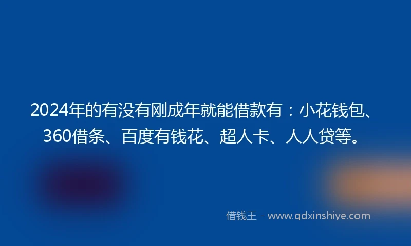 2024年的有没有刚成年就能借款有：小花钱包、360借条、百度有钱花、超人卡、人人贷等。