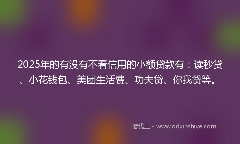 2025年的有没有不看信用的小额贷款有：读秒贷、小花钱包、美团生活费、功夫贷、你我贷等。