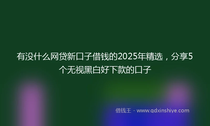 有没什么网贷新口子借钱的2025年精选，分享5个无视黑白好下款的口子