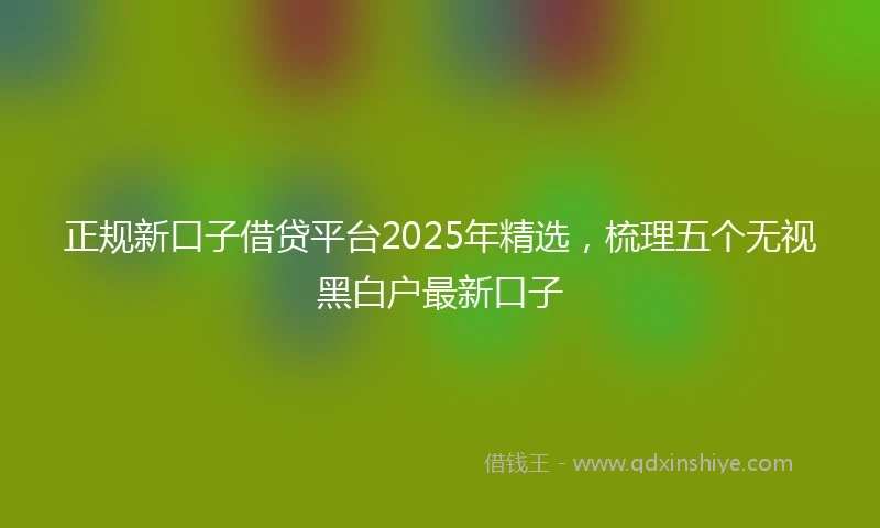 正规新口子借贷平台2025年精选，梳理五个无视黑白户最新口子