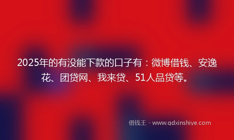 2025年的有没能下款的口子有：微博借钱、安逸花、团贷网、我来贷、51人品贷等。