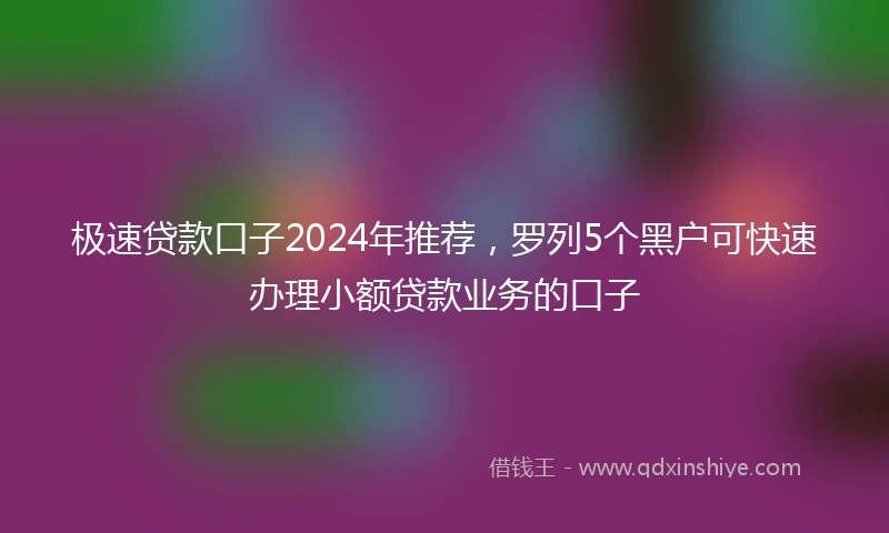 极速贷款口子2024年推荐，罗列5个黑户可快速办理小额贷款业务的口子