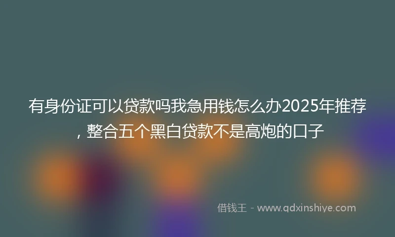 有身份证可以贷款吗我急用钱怎么办2025年推荐，整合五个黑白贷款不是高炮的口子