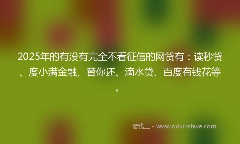 2025年的有没有完全不看征信的网贷有：读秒贷、度小满金融、替你还、滴水贷、百度有钱花等。