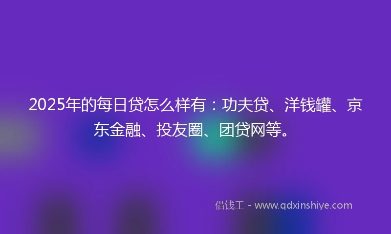 2025年的每日贷怎么样有：功夫贷、洋钱罐、京东金融、投友圈、团贷网等。