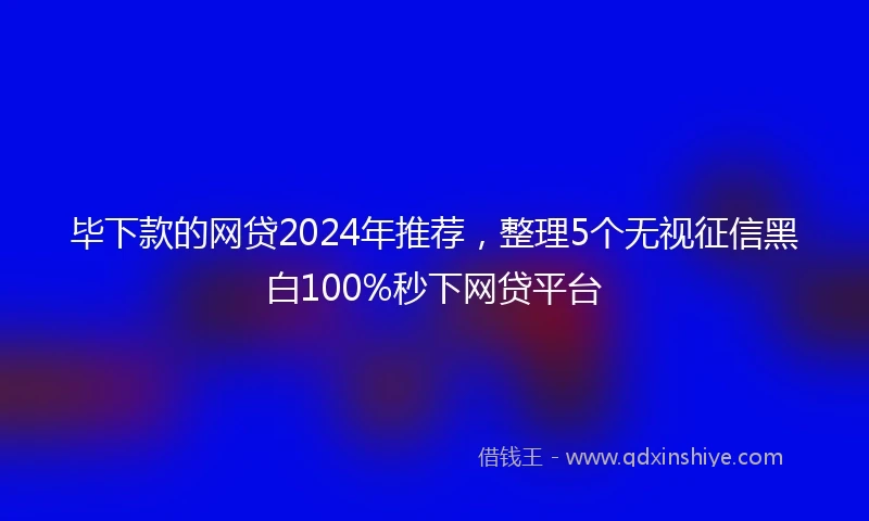 毕下款的网贷2024年推荐，整理5个无视征信黑白100%秒下网贷平台