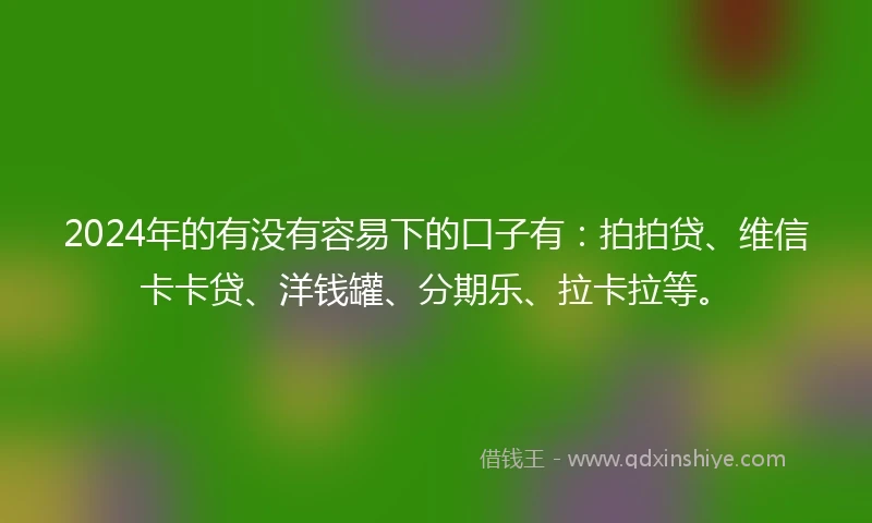 2024年的有没有容易下的口子有：拍拍贷、维信卡卡贷、洋钱罐、分期乐、拉卡拉等。