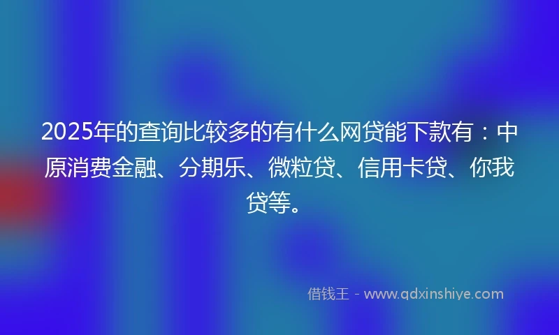 2025年的查询比较多的有什么网贷能下款有：中原消费金融、分期乐、微粒贷、信用卡贷、你我贷等。