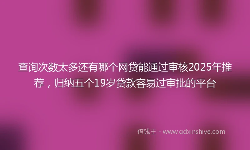 查询次数太多还有哪个网贷能通过审核2025年推荐，归纳五个19岁贷款容易过审批的平台
