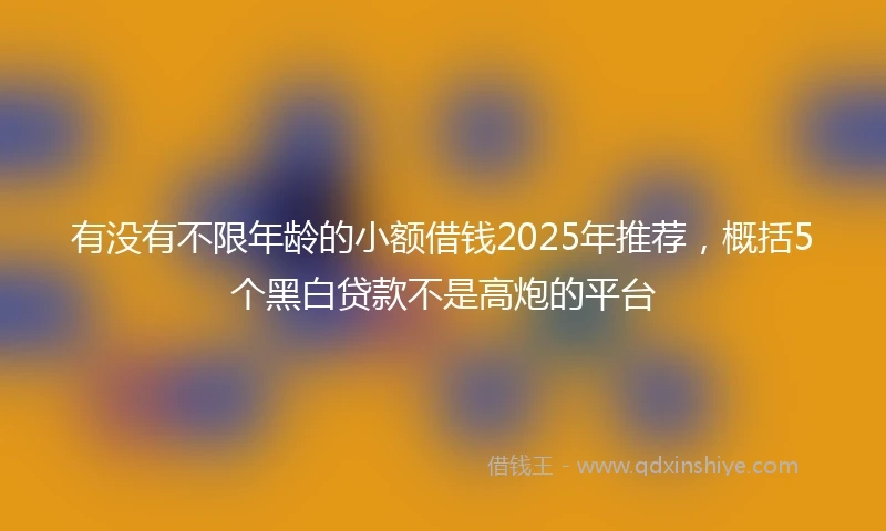 有没有不限年龄的小额借钱2025年推荐，概括5个黑白贷款不是高炮的平台