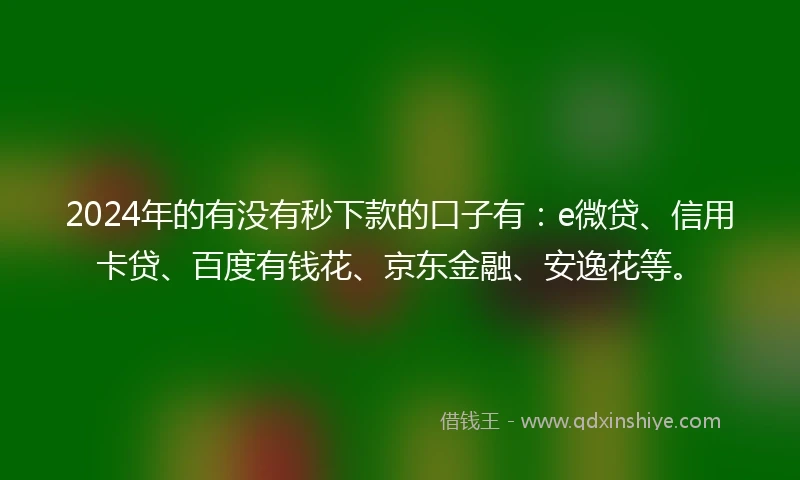 2024年的有没有秒下款的口子有：e微贷、信用卡贷、百度有钱花、京东金融、安逸花等。