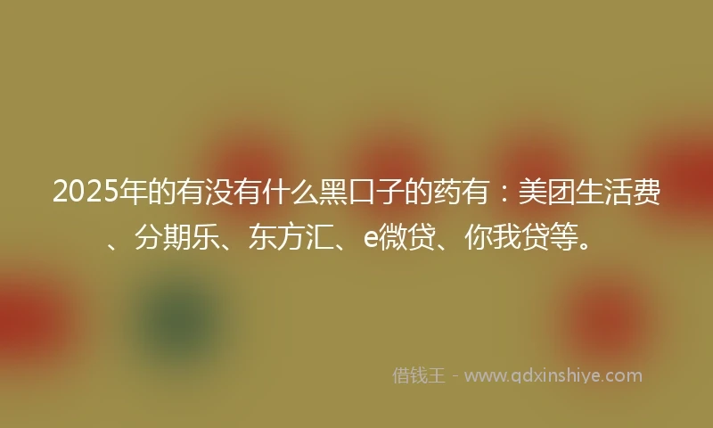 2025年的有没有什么黑口子的药有：美团生活费、分期乐、东方汇、e微贷、你我贷等。