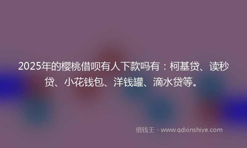 2025年的樱桃借呗有人下款吗有：柯基贷、读秒贷、小花钱包、洋钱罐、滴水贷等。