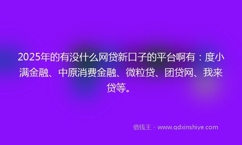 2025年的有没什么网贷新口子的平台啊有：度小满金融、中原消费金融、微粒贷、团贷网、我来贷等。