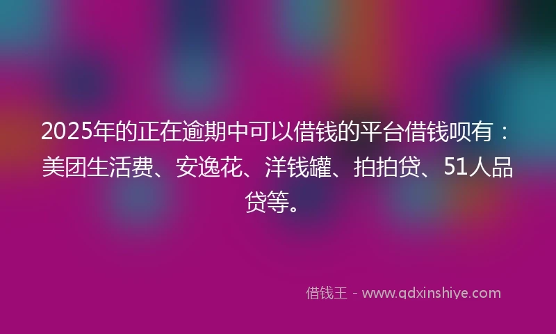 2025年的正在逾期中可以借钱的平台借钱呗有：美团生活费、安逸花、洋钱罐、拍拍贷、51人品贷等。