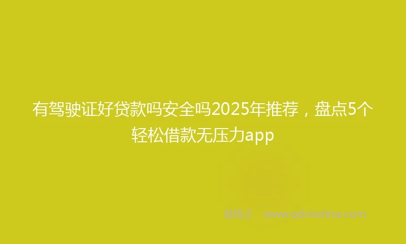 有驾驶证好贷款吗安全吗2025年推荐，盘点5个轻松借款无压力app