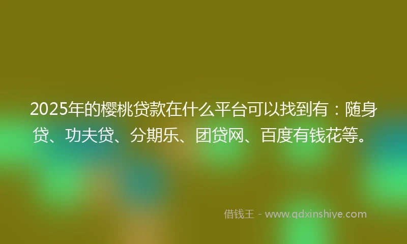 2025年的樱桃贷款在什么平台可以找到有：随身贷、功夫贷、分期乐、团贷网、百度有钱花等。