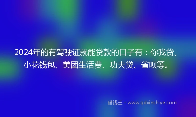 2024年的有驾驶证就能贷款的口子有：你我贷、小花钱包、美团生活费、功夫贷、省呗等。