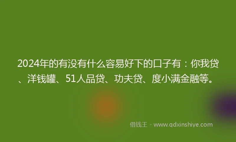 2024年的有没有什么容易好下的口子有：你我贷、洋钱罐、51人品贷、功夫贷、度小满金融等。