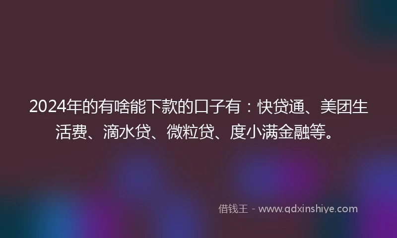 2024年的有啥能下款的口子有：快贷通、美团生活费、滴水贷、微粒贷、度小满金融等。
