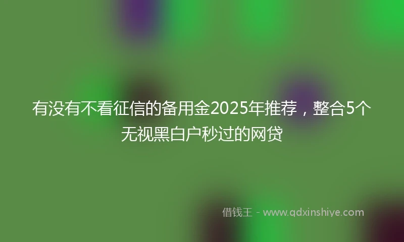有没有不看征信的备用金2025年推荐，整合5个无视黑白户秒过的网贷