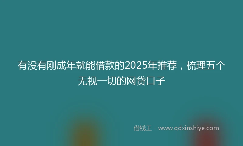 有没有刚成年就能借款的2025年推荐，梳理五个无视一切的网贷口子