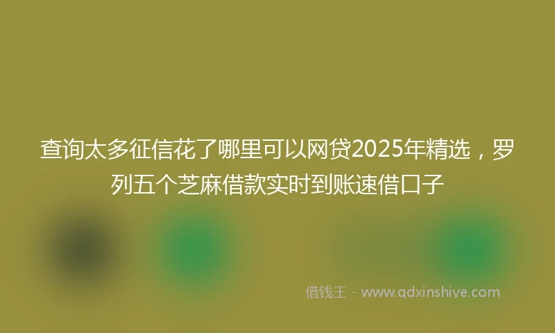 查询太多征信花了哪里可以网贷2025年精选，罗列五个芝麻借款实时到账速借口子