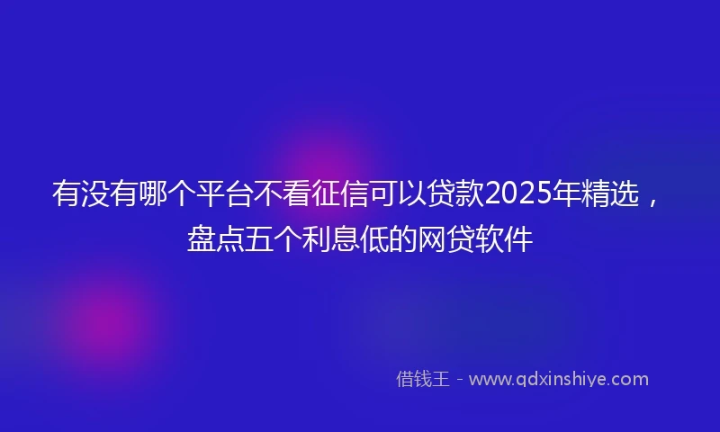 有没有哪个平台不看征信可以贷款2025年精选，盘点五个利息低的网贷软件