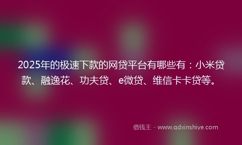 2025年的极速下款的网贷平台有哪些有：小米贷款、融逸花、功夫贷、e微贷、维信卡卡贷等。