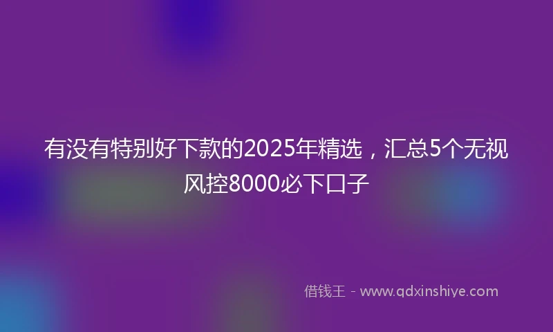 有没有特别好下款的2025年精选，汇总5个无视风控8000必下口子