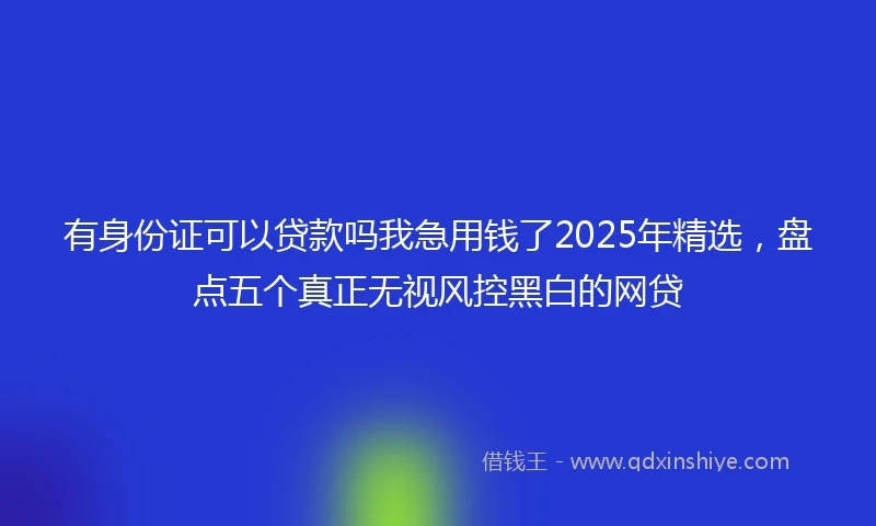 有身份证可以贷款吗我急用钱了2025年精选，盘点五个真正无视风控黑白的网贷